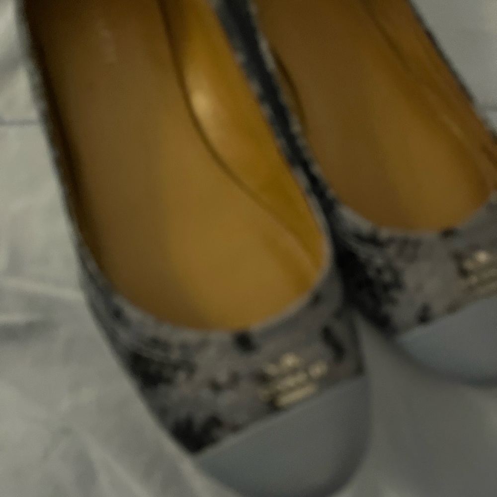 Blue Coach Ballets